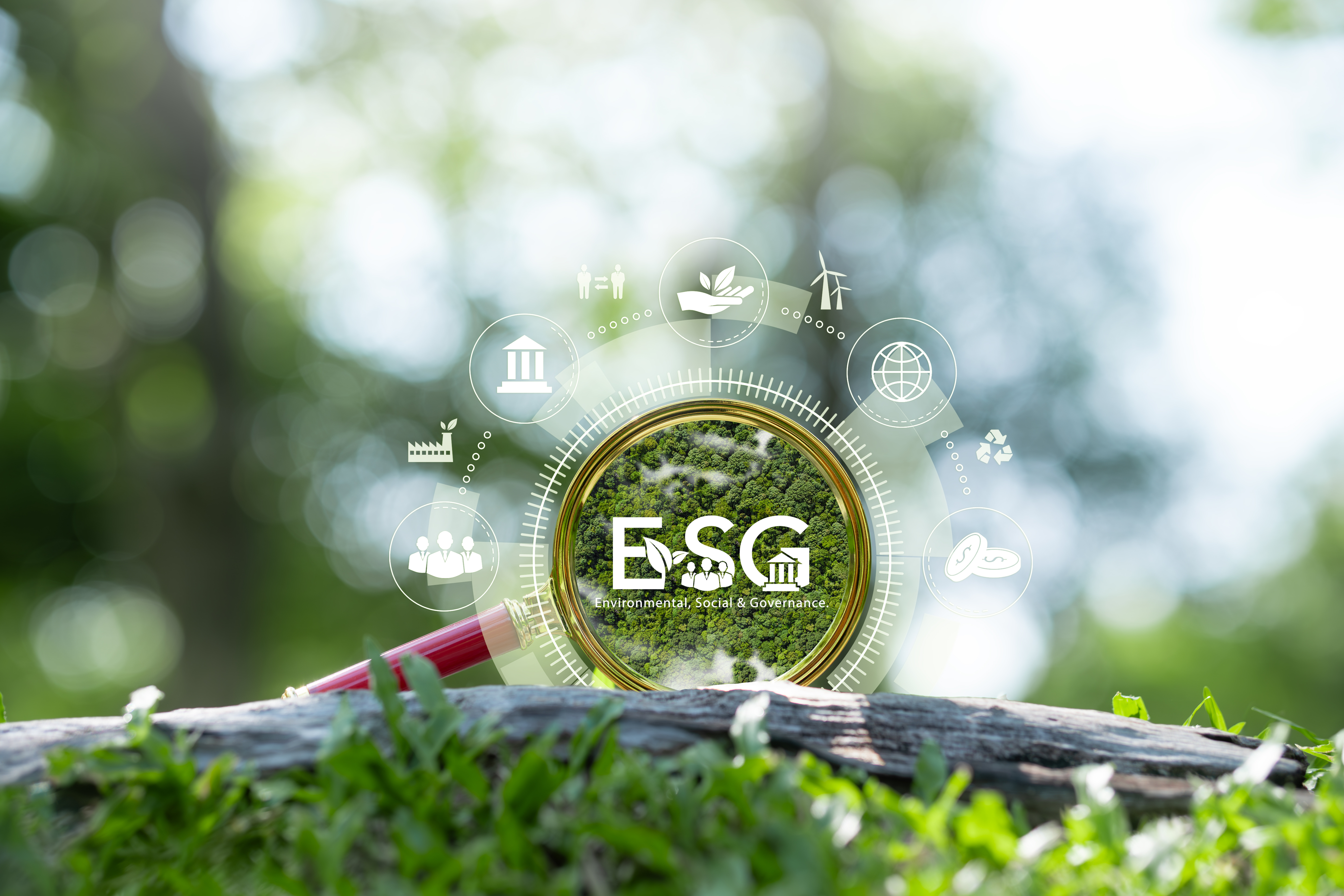 ESG reporting in Switzerland: an initial assessment, one year in - Vimarsana News
